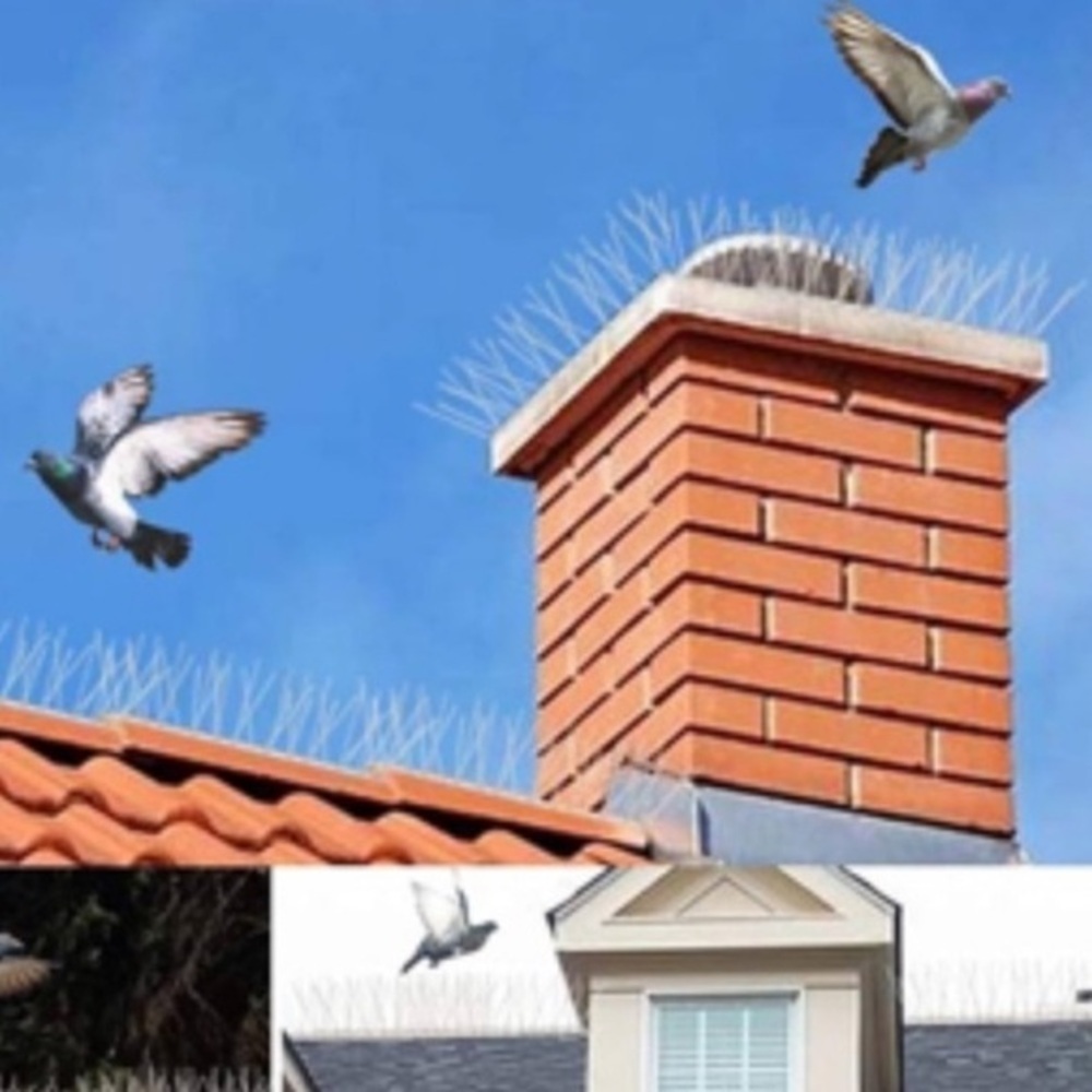 Bird Spikes! - Picture 9 of 9